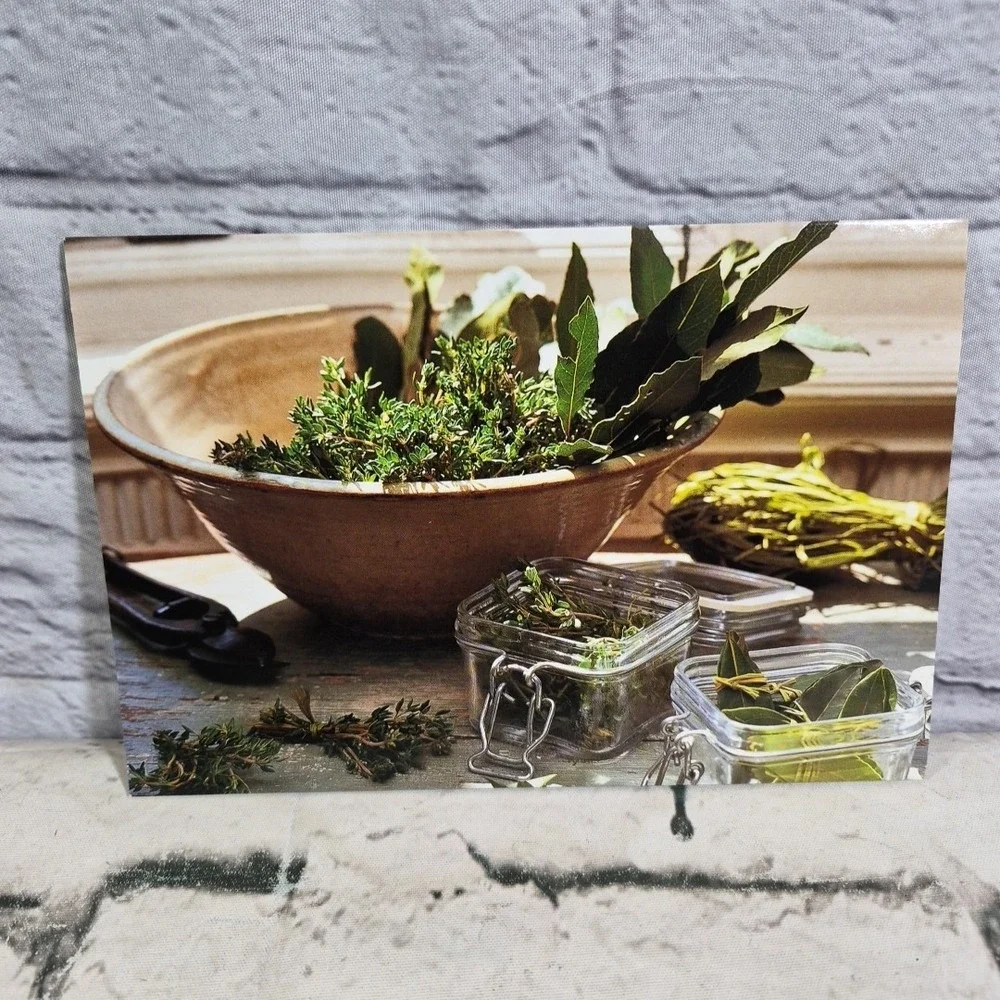 Rustic Living Botanical Herb Themed Note Cards Lot Of 5 Glossy Blank Inside